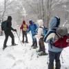 Passo della Calla/Poggio Scali - CIASPOLATA SULLA NEVE