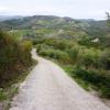 Il percorso